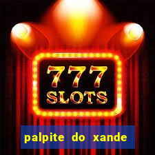 palpite do xande de hoje